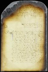  Remonstrance of the Dutch inhabitants of Gravesend that the town officers not be confirmed