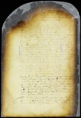 Instructions to deputies from the court at Fort Orange to the council