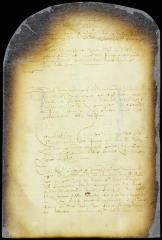 Minute of council refusing Salvador Dandradi the deed of the house he purchased