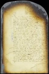 Remonstrance of the director-general and council of New Netherland  to the burgomasters and council of Amsterdam regarding the bad conduct of the Indians