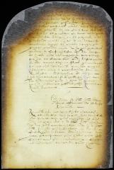 Remonstrance of the director-general and council of New Netherland to the States General regarding the bad conduct of the Indians