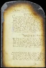 Order permitting Abraham de Lucena and other Jews to despatch one or two persons to the South river to dispose of goods sent there