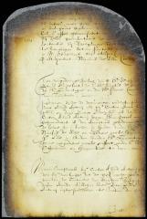 Proceedings in appeal of Allard Anthony, agent of Jacob Jansen Huys, vs. Peter Rudolphus