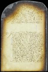 Certificate of director Stuyvesant that he had ordered Cornelis Jacobsen Steenwyck to pay 800 guilders to Mr. Rysingh