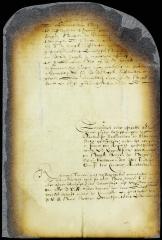 Remonstrance addressed to the directors of the West India company chamber at Amsterdam