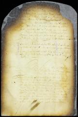 Petition of hon. Nicasius de Sille for his pay while acting as captain-lieutenant in Brian Nuton's place