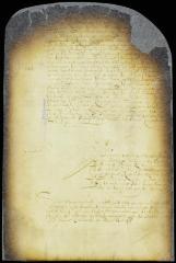Commission of captain de Coninck to capture the leading inhabitants of Westchester and to expel English intruders