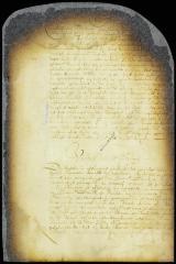 Advice of Fiscal Van Tienhoven on the survey of New Amsterdam