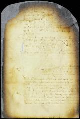 Petition of Peter Taelman for a writ of appeal from a judgment of the court of Flushing, in favor of William Pidgeon