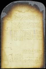 Proposals submitted to the council by director Stuyvesant