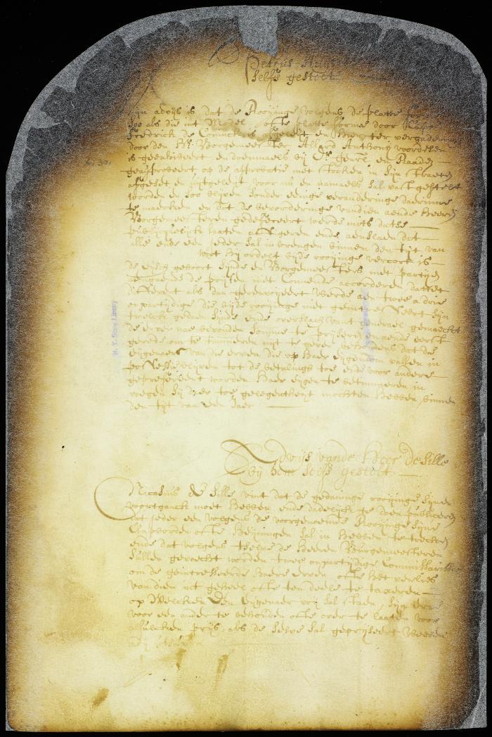 Advice of the director-general and councillor De Sille on the survey of New Amsterdam