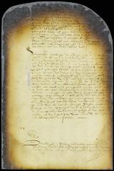 Order to liberate the imprisoned intruders from Westchester