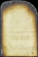 Petition of the skipper of the ship Flower of Gelder