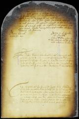 Permit to captain Jacob to sail for the South river (Delaware)