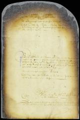Petition of the magistrates of Breuckelen for an order obliging proprietors of vacant lots to build on them