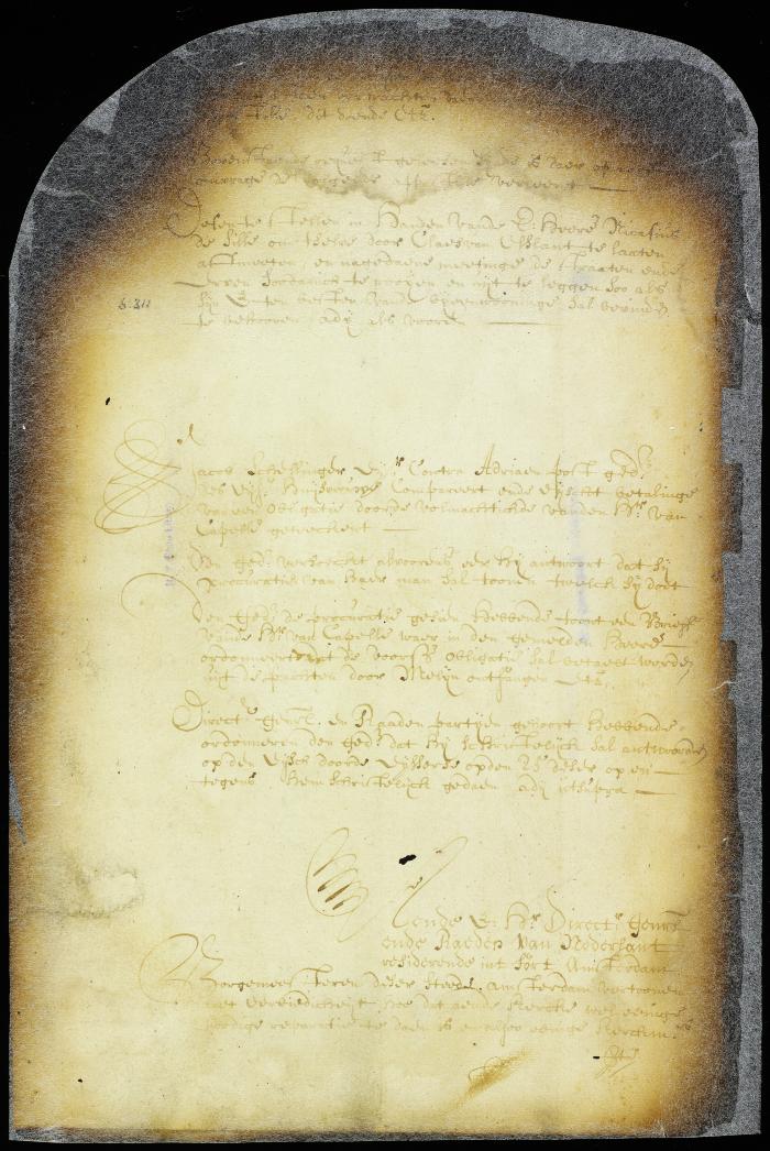 Order granting the petition that the surveyor lay out the village of Arnhem