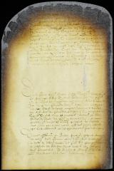 Judgment in the case of David Ferrera vs. Peter Dircksen Waterhond