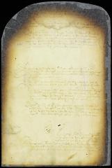 Proceedings in the case of Jacob Schellinger vs. Adriaen Post, agent of baron van der Capelle