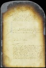Nomination and appointment of magistrates for Midwout and Amesfoort