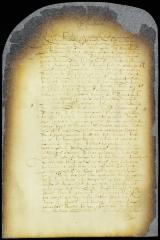 Petition of Abraham de Lucena, Jacob Cohen Henricque, Salvador Dandrada, Joseph Dacosta, and David Frera, Jews, for the same rights in  trade and real estate as other citizens