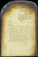 Grant of the petition of Robert Jackson, Daniel Denton and others of Heemstead