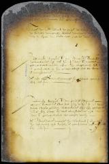 Declaration of the soliders that they would not accompany Adriaen Post's wife to Staten Island