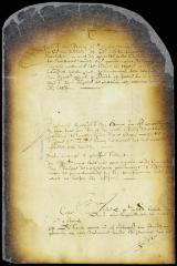 Petition of Dirck van Schelluyne, for and on behalf of Madame Post