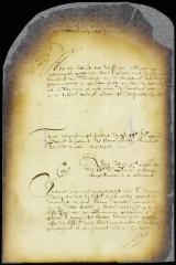 Complaint of Joost Van Beecq vs. Maria Verleth