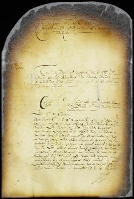 Petition of Dirck van Schelluyne, agent of baron Van der Capelle