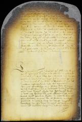 Minute of the appearance of Mr. Huyghen before the council