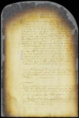 Order referring the petition of Hans Jongh to the fiscal 