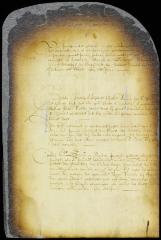 Order referring to arbitration a suit between Janneke Melyn vs. Adriaen Post
