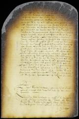 Answer to the petition of Dirck van Schelluyne
