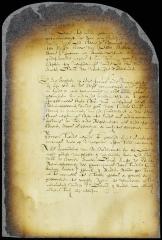 Answer to petition of Dirck van Schelluyne