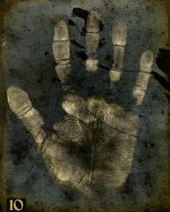 Photographic print of the palm of someone's hand, No. 10