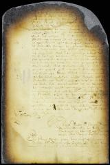 Advice of the council to remove the settlers on Staten Island to New Utrecht