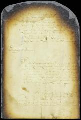 Votes of the director and council in the case of Allard Anthony vs. Abraham Planck, guardian of Gelyn Verplanck