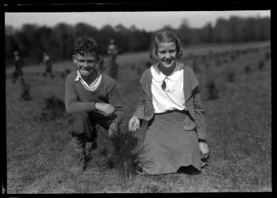 Miss Frances Brenning Paul Stewart, Trenton, N.Y.