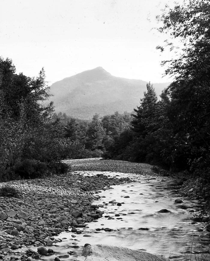 Nature. Ausable River