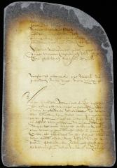 Ordinance for the enclosing the village and the better government of the town of New Utrecht