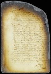 Mandamus of benefit of inventory granted to Cornelis van Gesel and others, heirs of Jacob Alrichs