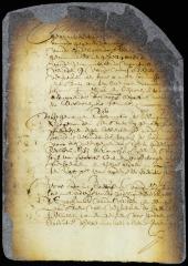 Instructions to fiscal de Sille to inquire into and prosecute those who murdered an Indian on the South river