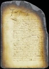 Petition of burgomasters and schepens of New Amsterdam concerning revision of court judgments