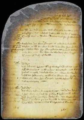 Petition of citizens of New Amsterdam asking to be invested with the right of citizenship in all places in New Netherland