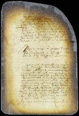 Order on a petition of Mensje Andries, wife of Anthony Bryant at the South river, for relief against injustice