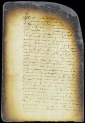 Petition of Tielman van Vleeck, attorney of Peter van Werckhoven and Daniel Gabrie, guardians of Dirck van Werckhoven, vs. Jacques Corteljou