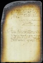 Order to Tielman van Vleeck to serve copy on defendant and summon him to appear