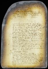 Writ of certiorari to the magistrates of Rustdorp in the case of Nathaniel Denton and Mrs. Richard Everit vs. Mary, minor child of Thomas Tany Kraft