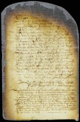 Petition of Louwerens Pietersen, the Norman, for the appointment of guardians and curators over his minor child