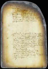 Order on a petition of Thomas Wandel for leave to reside on his bouwery